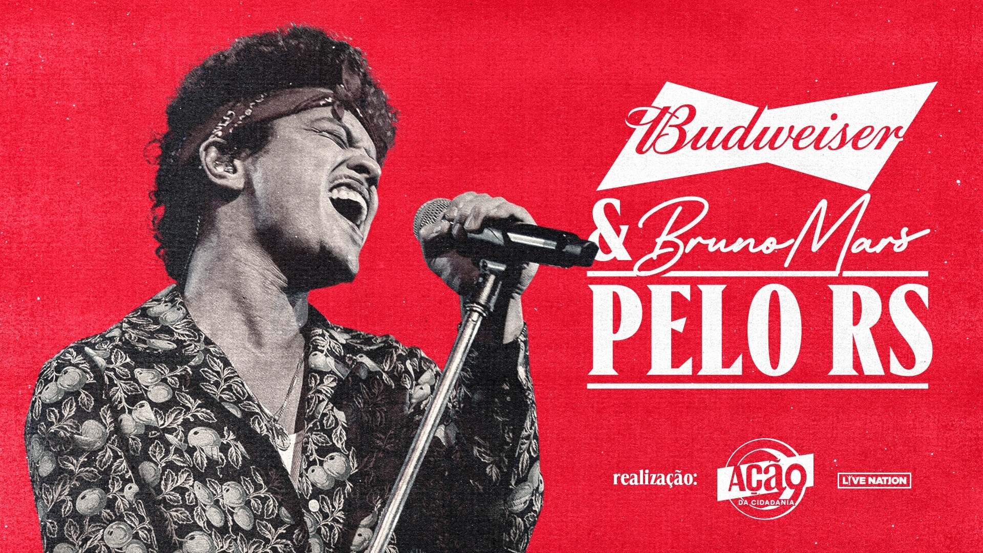 BUD-BRUNO-RS-PR--1-