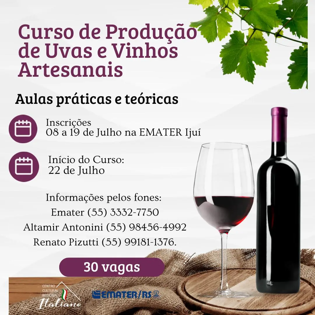 vinho