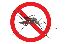 DENGUE