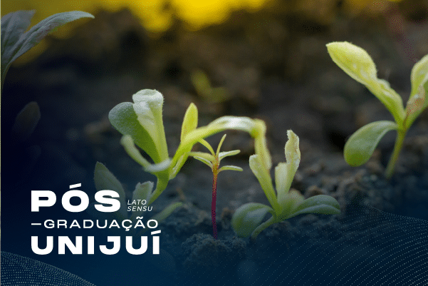 Plantas_de_lavoura_Imagem_Curso
